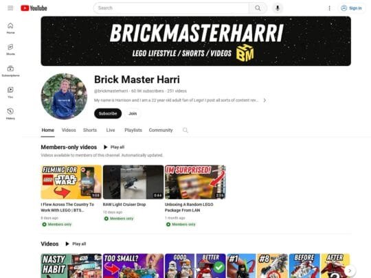 Brick Master Harri