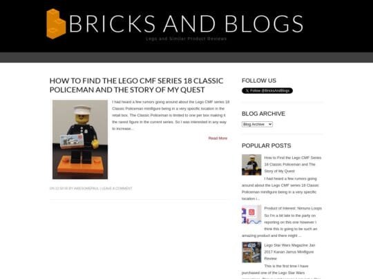 Bricks and Blogs Review