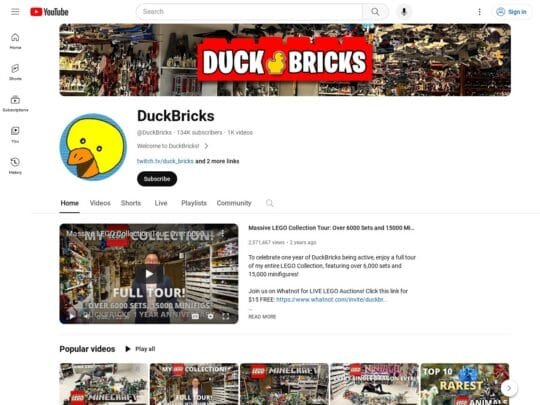 DuckBricks